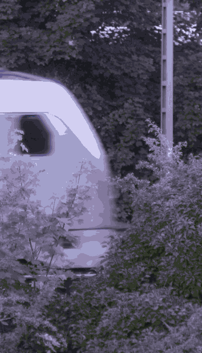 There should be a train video here :'(