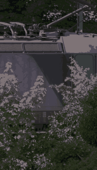 There should be a train video here :'(