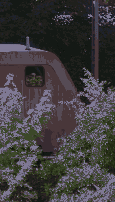 There should be a train video here :'(