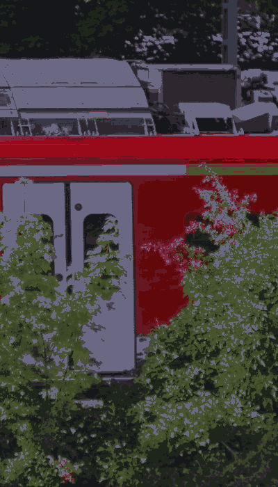 There should be a train video here :'(