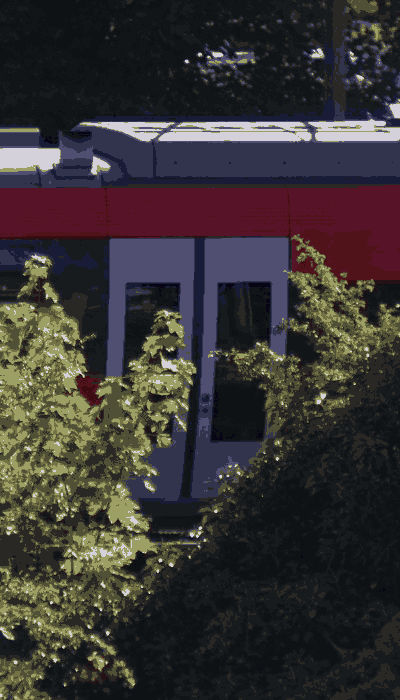 There should be a train video here :'(