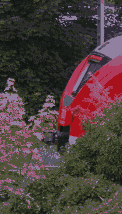 There should be a train video here :'(