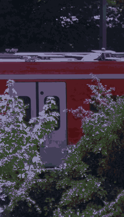 There should be a train video here :'(