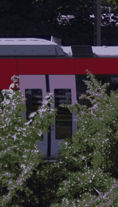 There should be a train video here :'(