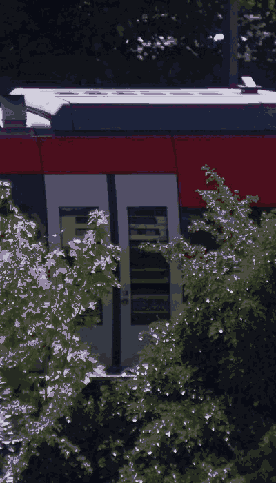 There should be a train video here :'(