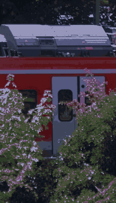 There should be a train video here :'(