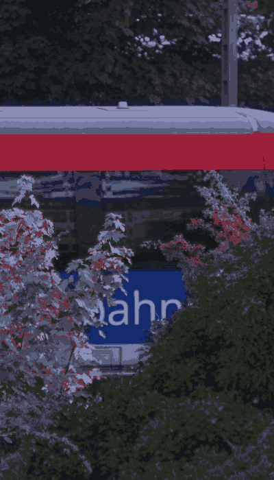 There should be a train video here :'(