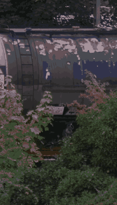 There should be a train video here :'(