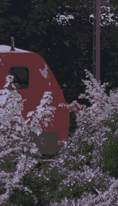There should be a train video here :'(