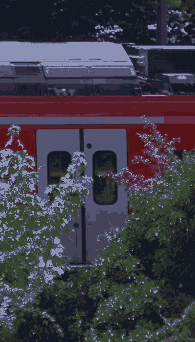 There should be a train video here :'(