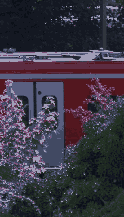 There should be a train video here :'(