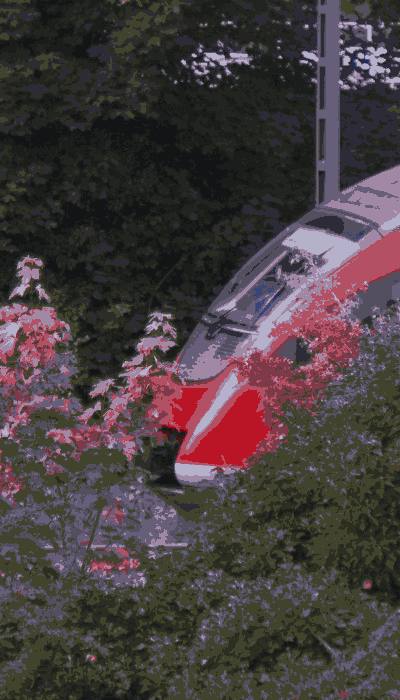 There should be a train video here :'(