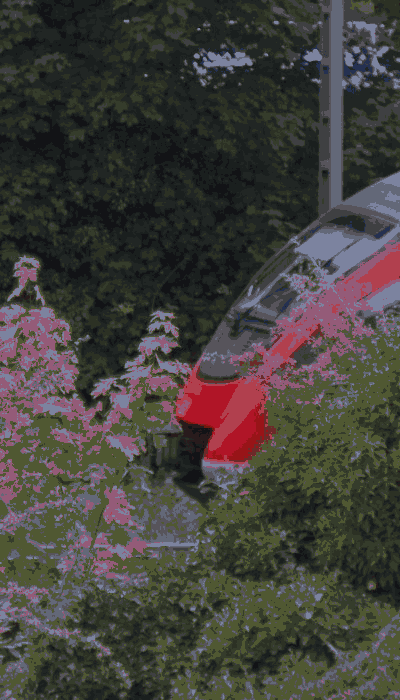 There should be a train video here :'(