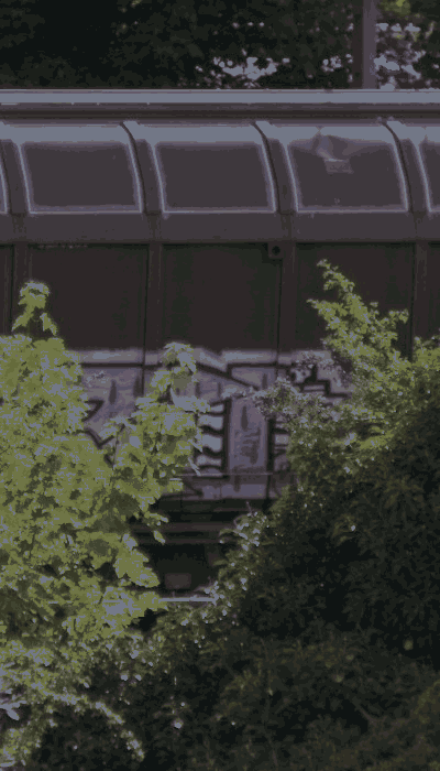 There should be a train video here :'(