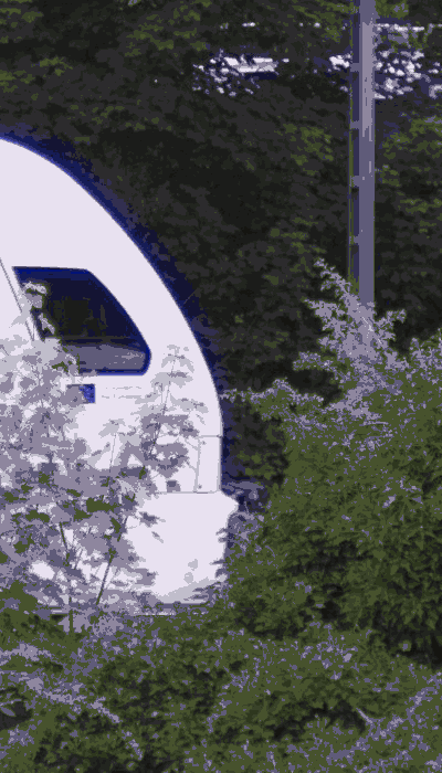 There should be a train video here :'(