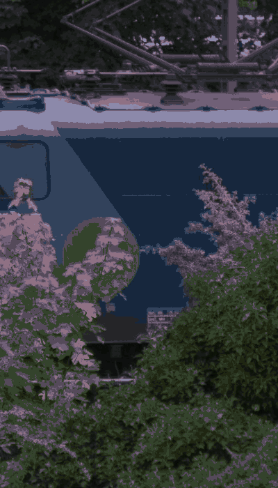 There should be a train video here :'(