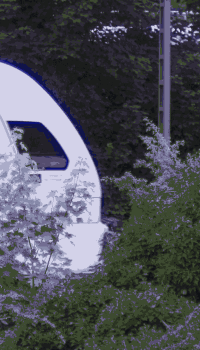 There should be a train video here :'(