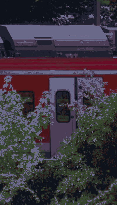 There should be a train video here :'(