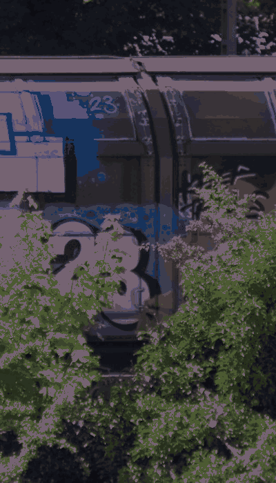 There should be a train video here :'(