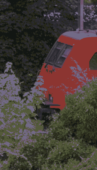 There should be a train video here :'(