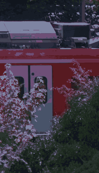 There should be a train video here :'(