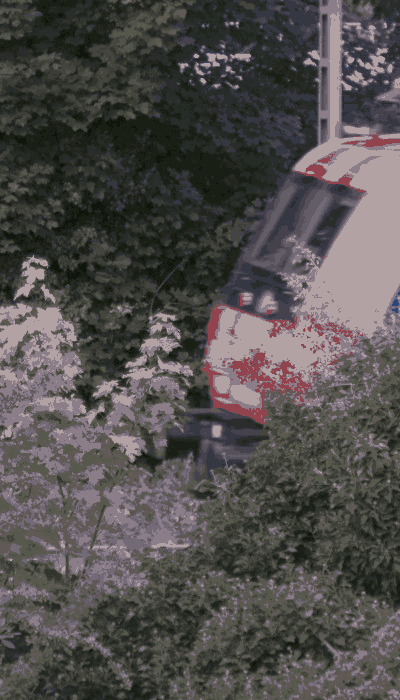 There should be a train video here :'(