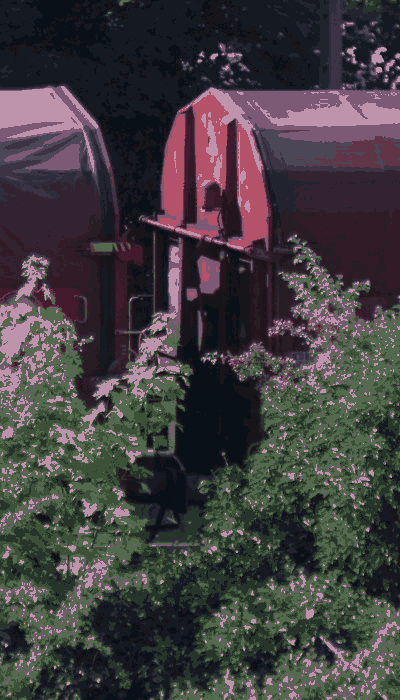 There should be a train video here :'(