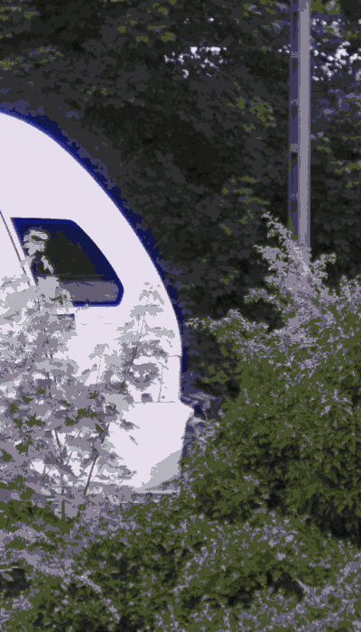 There should be a train video here :'(