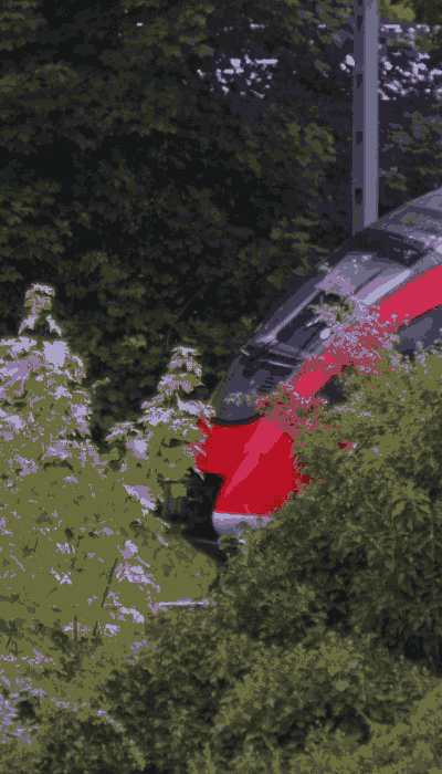 There should be a train video here :'(