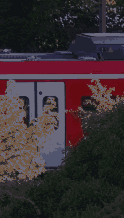 There should be a train video here :'(