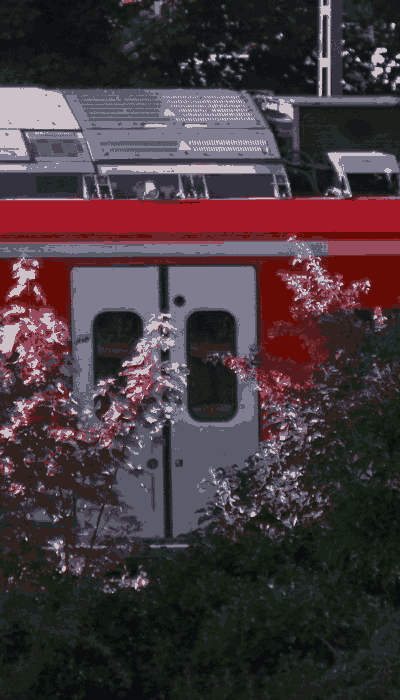 There should be a train video here :'(