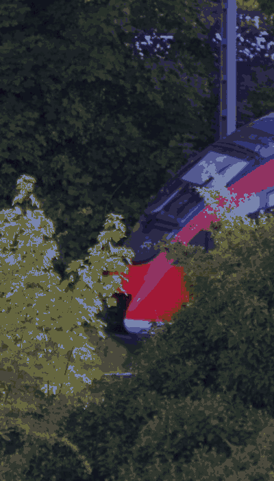 There should be a train video here :'(
