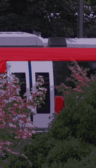 There should be a train video here :'(