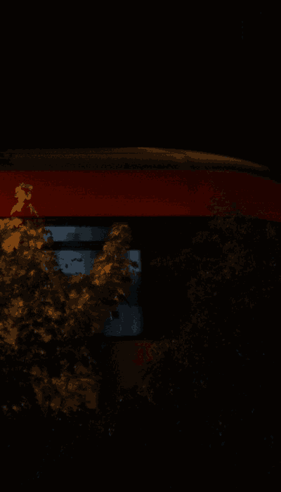 There should be a train video here :'(