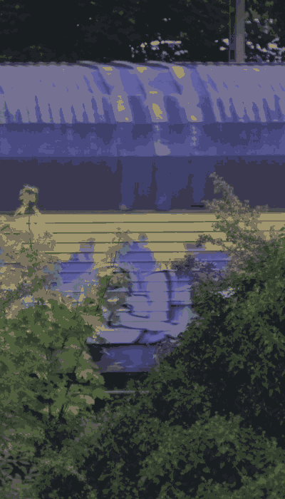 There should be a train video here :'(