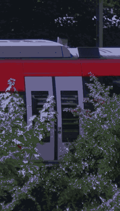 There should be a train video here :'(
