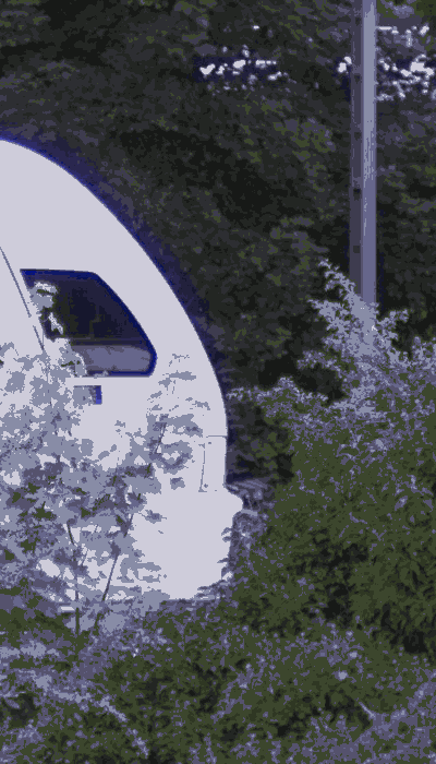 There should be a train video here :'(