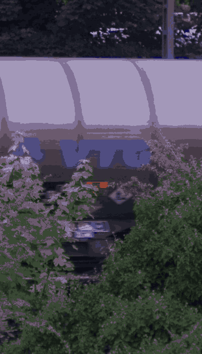 There should be a train video here :'(
