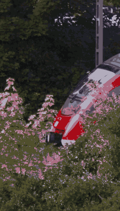There should be a train video here :'(