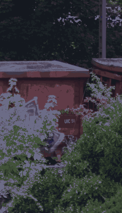 There should be a train video here :'(