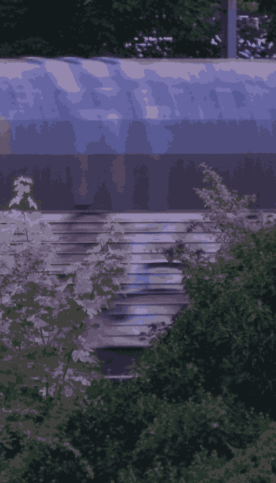 There should be a train video here :'(