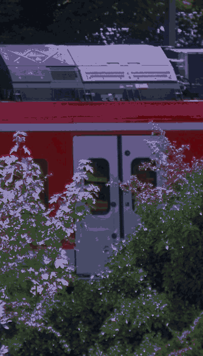 There should be a train video here :'(