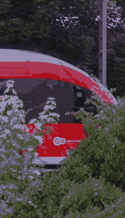 There should be a train video here :'(