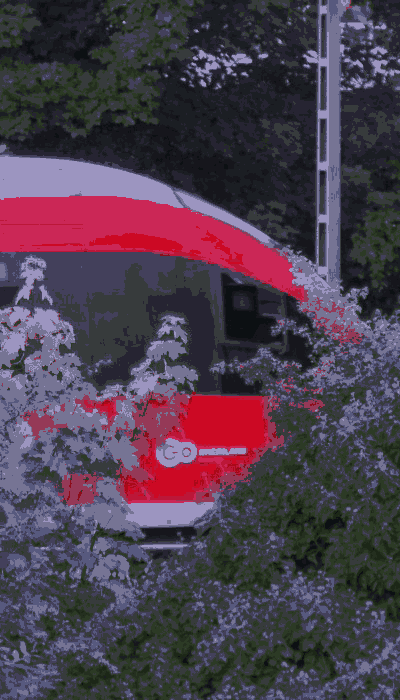 There should be a train video here :'(