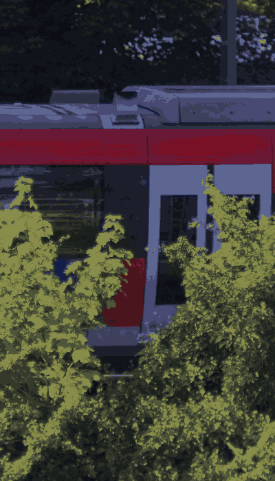 There should be a train video here :'(
