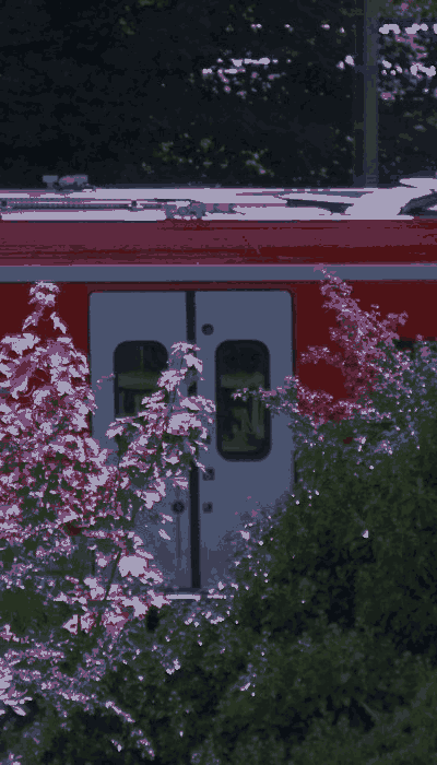 There should be a train video here :'(