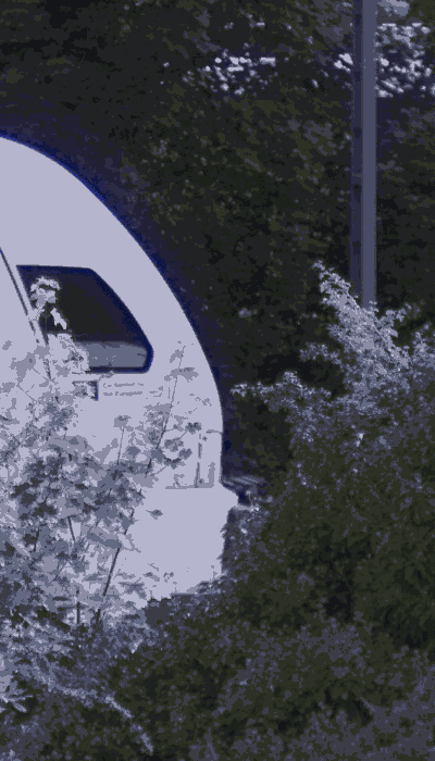 There should be a train video here :'(