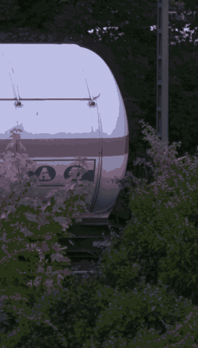 There should be a train video here :'(