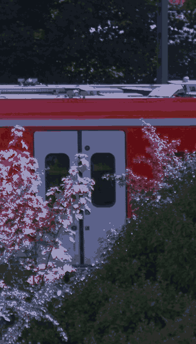 There should be a train video here :'(