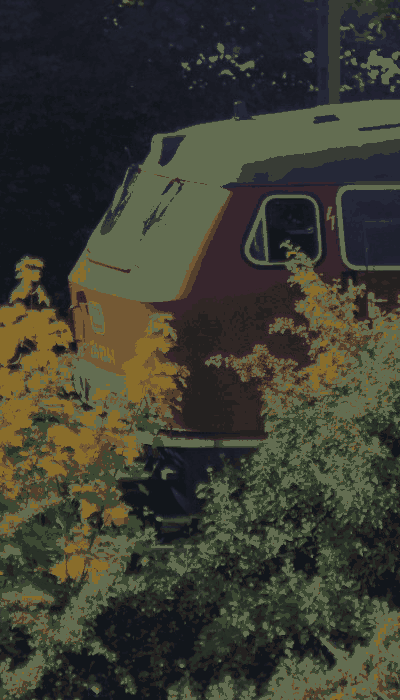 There should be a train video here :'(